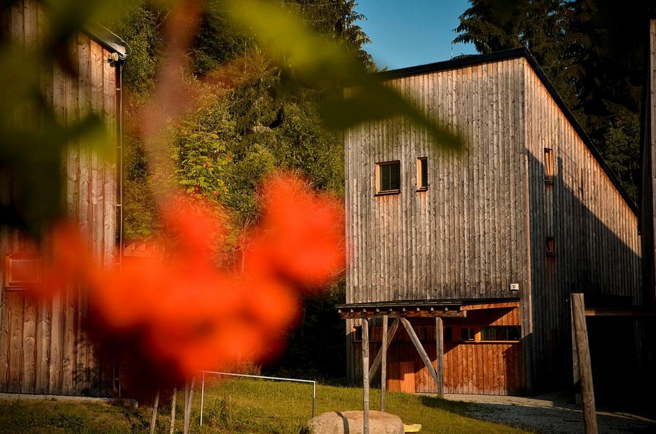 Naturepark Resort Harrachov Eksteriør billede